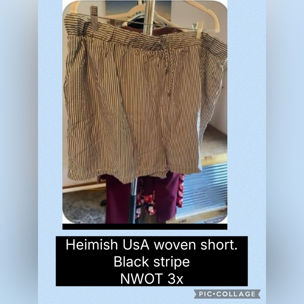 Heimish Striped Woven Shorts 3x